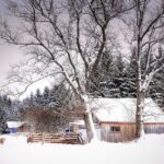Sustainable Architecture: A Detailed Dialogue