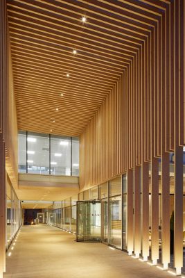 Davidson Reading Building by dn-a architects