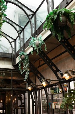 Eberly Hospitality Project Texas