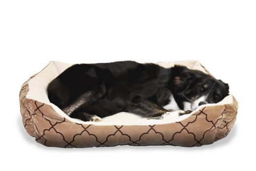 Stylish And Sophisticated Dog Beds