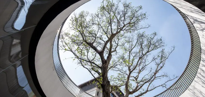 Buildings of 2020: Architecture of the Year