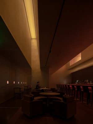 Voisin Organique Restaurant Lounge Shenzhen