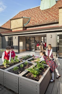 Roof-Top School NYC USA