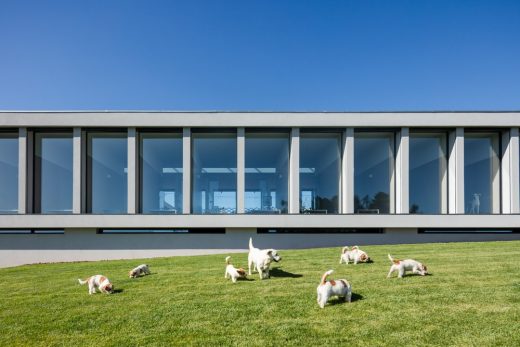 Canine Feline Hotel Vila do Conde Portugal - Porto Architecture Tours