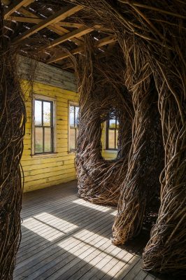 Tippet Rise Art Center Fishtail Montanta