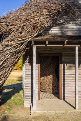 Tippet Rise Art Center Fishtail Montanta