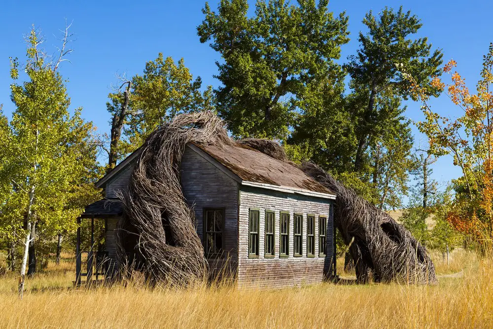 Tippet Rise Art Center Fishtail Montanta