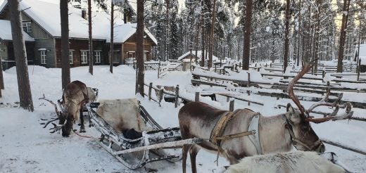 Unique Architecture of Igloos reindeer