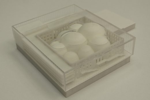 Vilnius Concert Hall Competition Lithuania architecture competition model