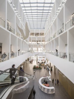 Ningbo New Library Building in China by schmidt hammer lassen architects