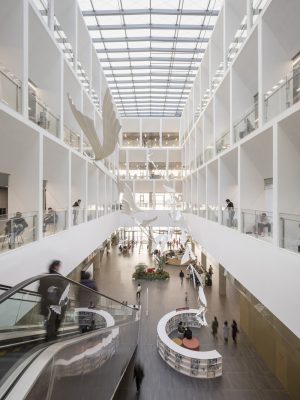 Ningbo New Library Building in China by schmidt hammer lassen architects