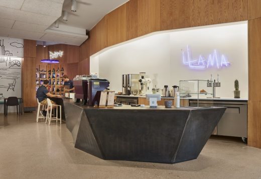 Purple Llama Coffee Records Shop Chicago