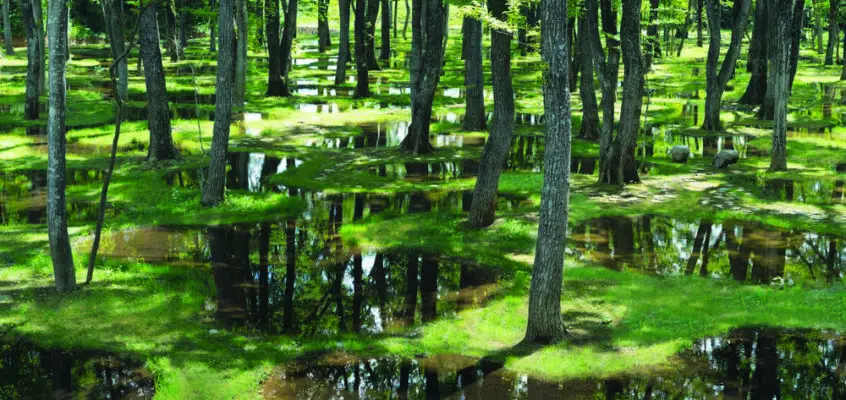 OBEL AWARD 2019: Water Garden at Aedes