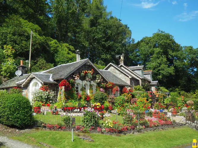 design garden