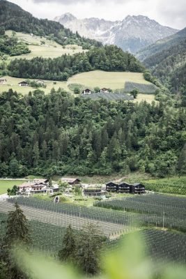 Apfelhotel Torgglerhof Val Passiria Italy