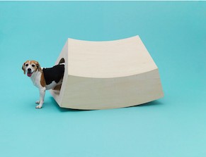 Architecture for Dogs at Japan House London