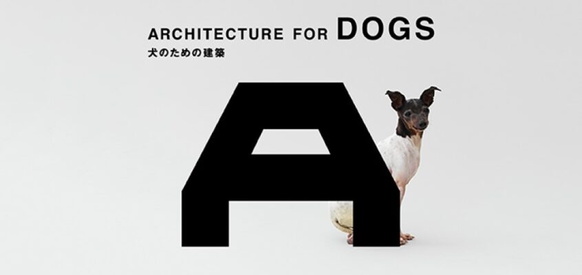 Architecture for Dogs at Japan House, London