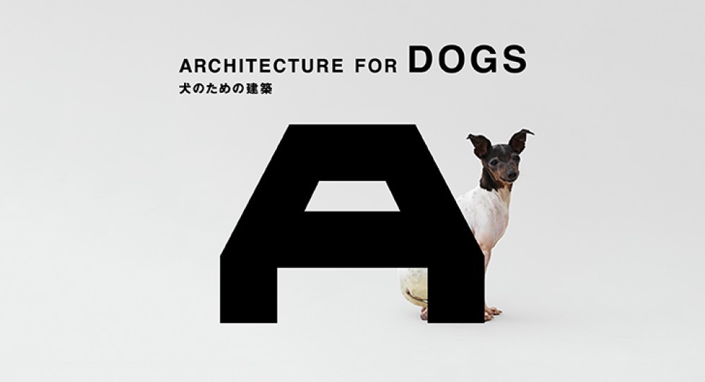 Architecture for Dogs at Japan House London