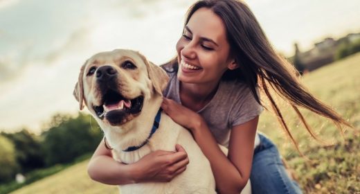 How The Endocannabinoid System In Us Makes You And Your Dogs The Same