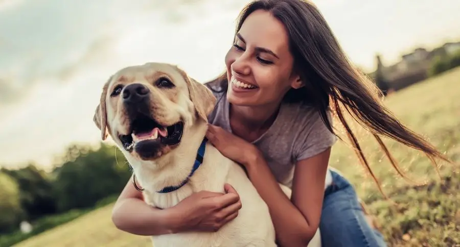 How The Endocannabinoid System In Us Makes You And Your Dogs The Same