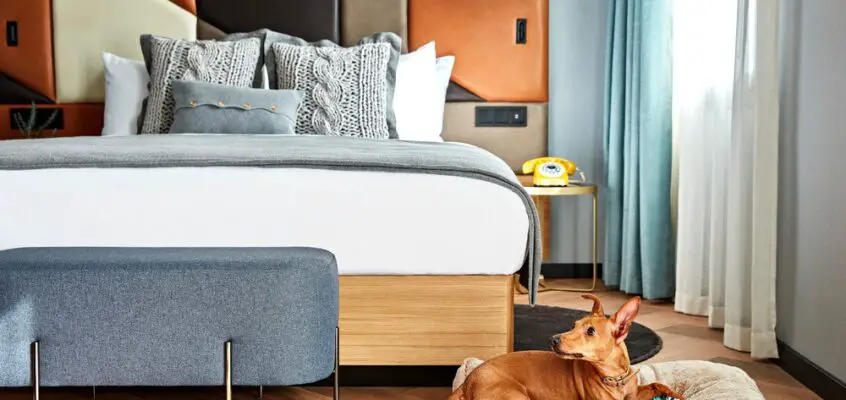 Kimpton Vividora Hotel in Barcelona, Spain