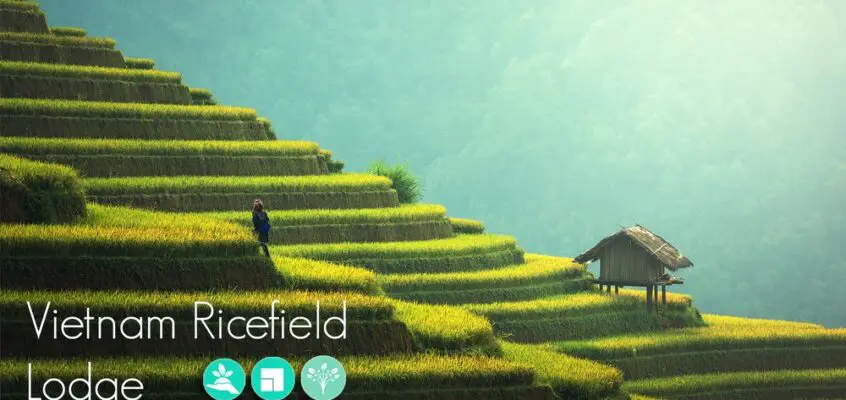 Vietnam Ricefield Lodge Design Competition