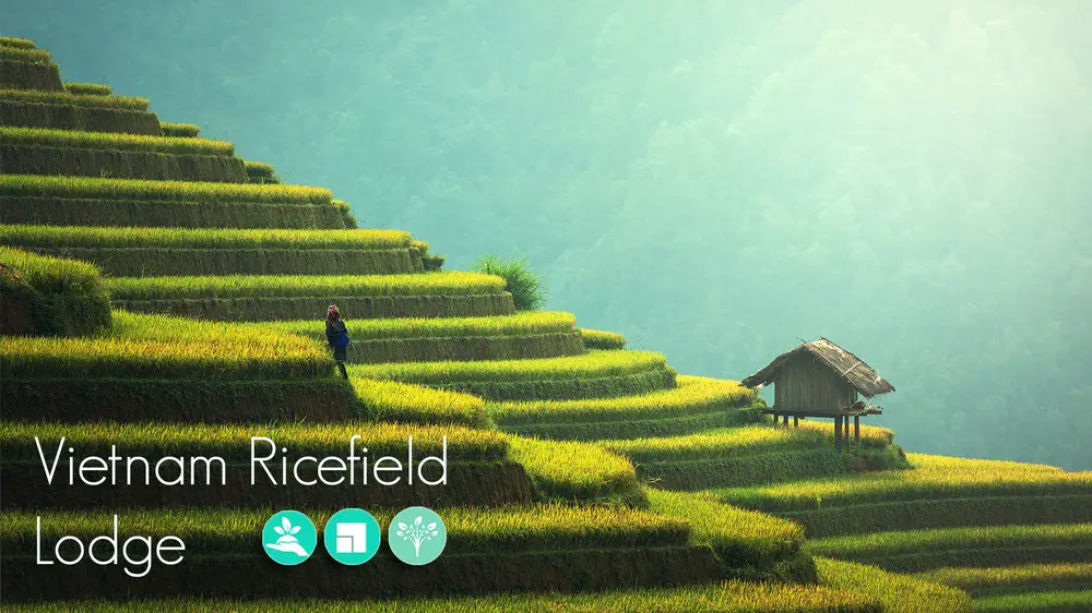 Vietnam Ricefield Lodge Design Competition