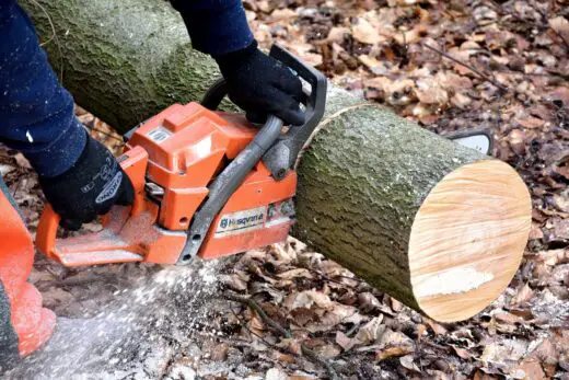 Your best pick guide for professional wood cutting saw log