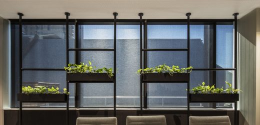 Biophilic design benefits Tonkin Consulting