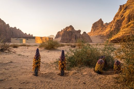 Maraya AlUla concert venue, Saudi Arabia