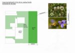 Nicosia garden home design
