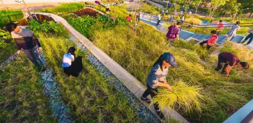 Thammasat Urban Rooftop Farm Tambon Khlong Nung