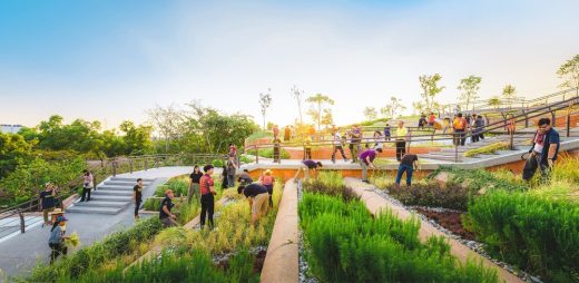 Thammasat Urban Rooftop Farm Tambon Khlong Nung