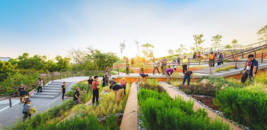 Thammasat Urban Rooftop Farm Tambon Khlong Nung