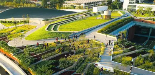 Thammasat Urban Rooftop Farm Tambon Khlong Nung