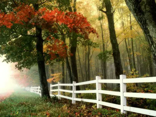 Top 5 reasons why a fence is good for your home