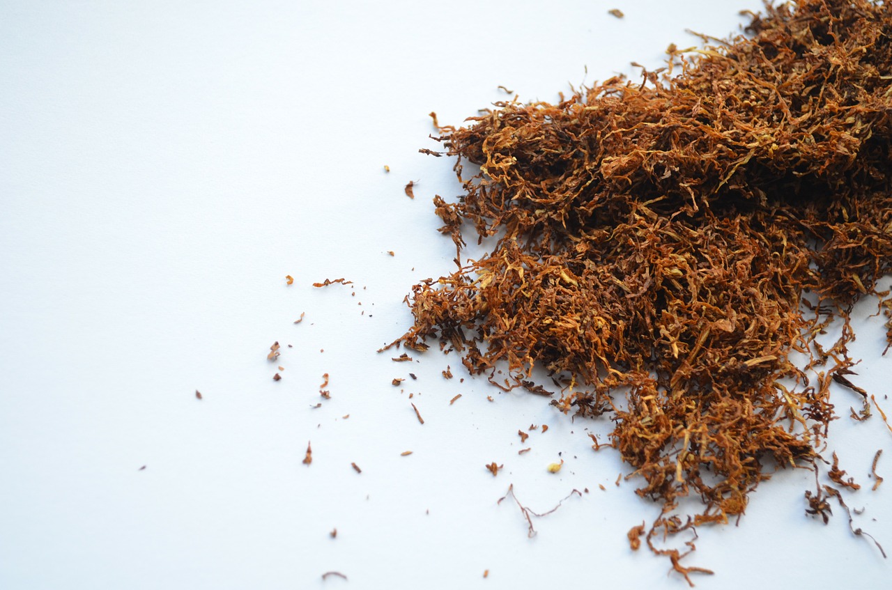 All you need to know about chewing tobaccos