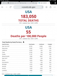 Americans COVID-19 deaths USA stats
