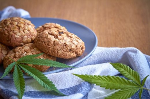 Curious About CBD Edibles cookies