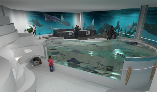 reefLIVE Aquarium, Titanic Quarter Belfast