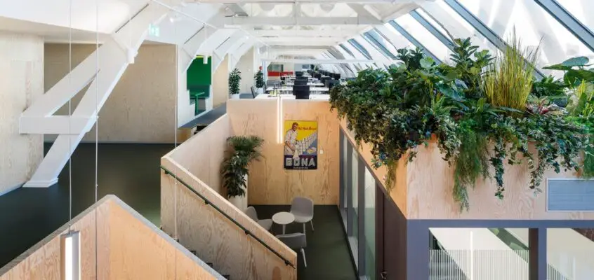Upfield Office The Attic, Rotterdam