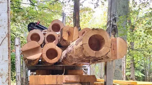 Château de la Bourdaisière logs France forest