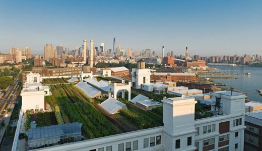 Brooklyn Grange New York rooftop farm - Green rooftops to be new normal