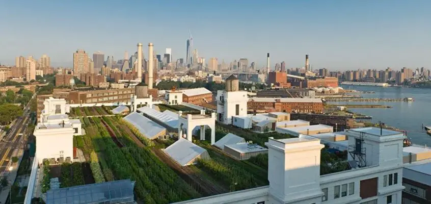 Green rooftops to be new normal