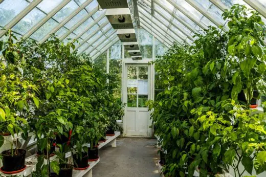 Greenhouse design essentials in the USA