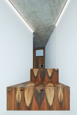 Czech capital house design by COLL COLL