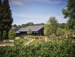 vineyard california cherished healdsburg