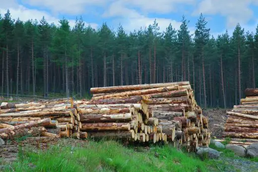 Scottish Timber logs wood - Selecting Best Woodworking Equipment