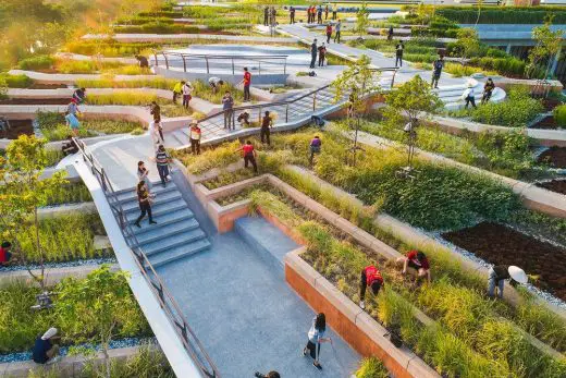 Thammasat University urban farm Roof Bangkok landscape