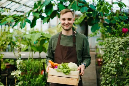 X reasons to consider a greenhouse for your garden